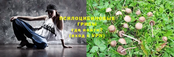 молекула духа Армянск